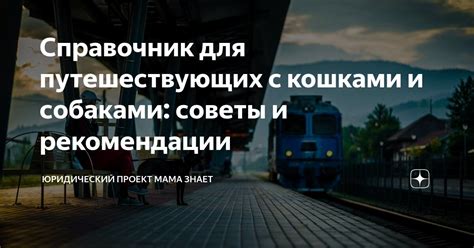 Советы и рекомендации для путешествующих поездом до Алматы