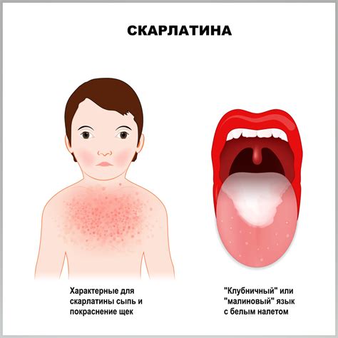 Советы и рекомендации по использованию