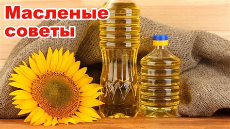 Советы по выбору и хранению масла жожоба