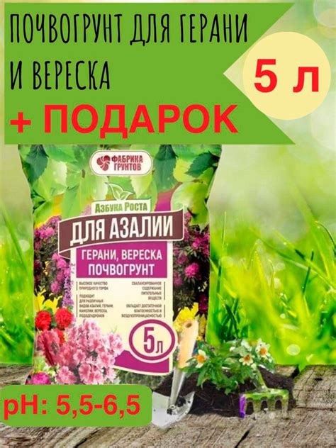 Совместимость грунтов для антуриума и азалии