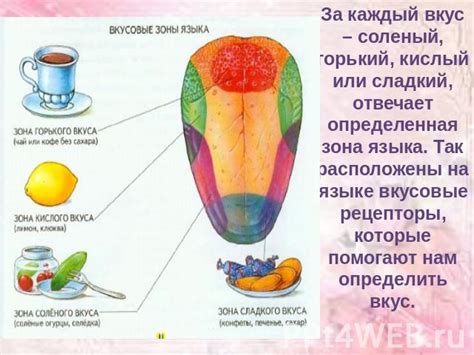 Соление воды и его влияние на вкус грибов