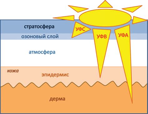 Солнечные лучи и их влияние на лишайный вид