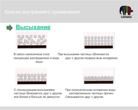 Соответствующая высыхание краски