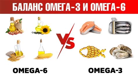 Состав Омега 3 и ее источники