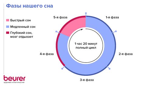 Состояние носовых проходов во время сна