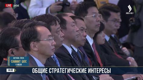 Союзники: стратегические размышления и общие интересы