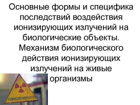 Специфика воздействия молочая на сон