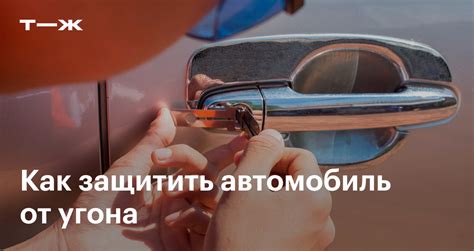 Способы обезопасить машину от медведей