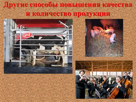 Способы повышения качества перегонки