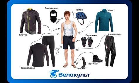 Способы поиска пищи в холодное время года