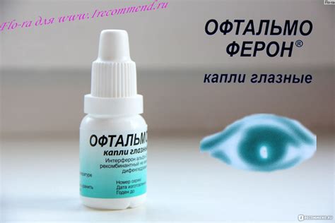 Способы применения офтальмоферона у собак