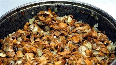 Способы разморозки жареных маслят
