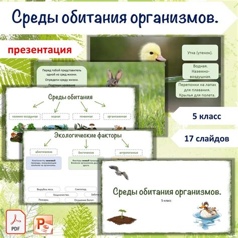 Способы улучшения среды обитания