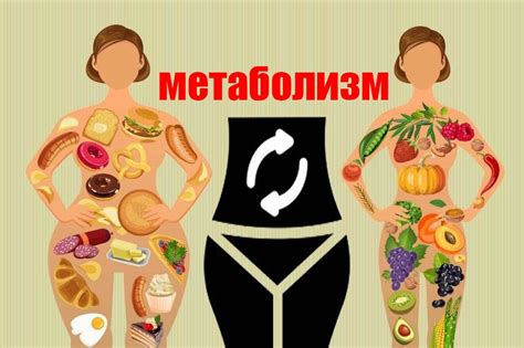 Способы ускорить обмен веществ