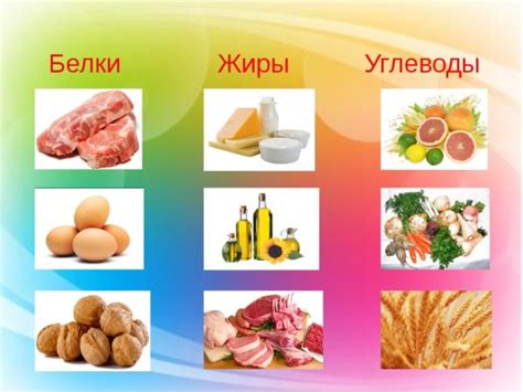 Сравнение пищевой ценности свинины с жиром и без жира