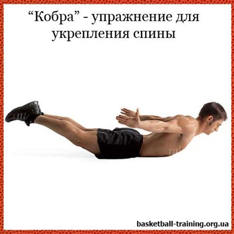 Статические упражнения для укрепления мышц спины