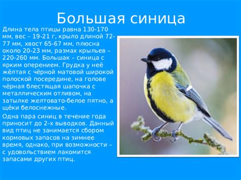 Степень важности запасов для выживания синиц