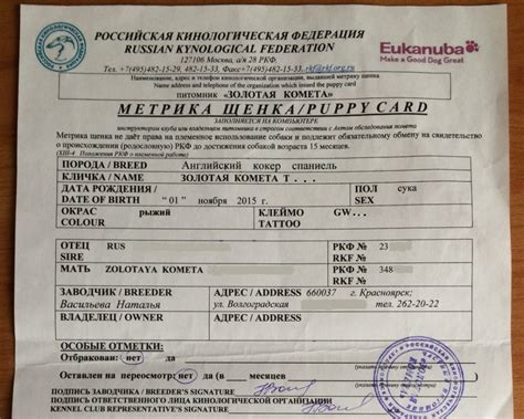 Стоимость оформления метрики щенку