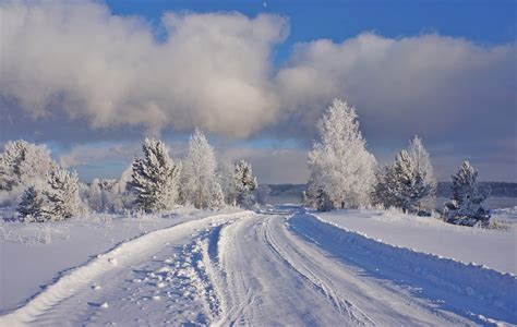 Суровый климат имеет свою прелесть