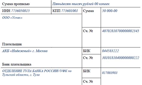 Суть платежного поручения