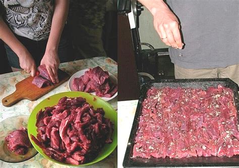 Сушка щавеля для длительного хранения