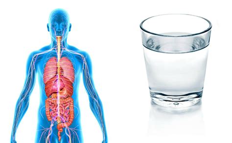 Сырая вода и ее влияние на организм