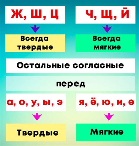 Твердые и мягкие согласные: основы и различия