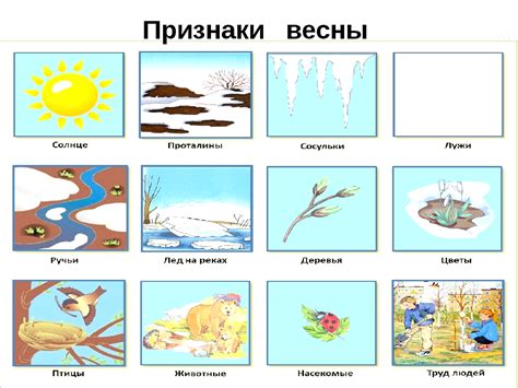 Тесты и признаки