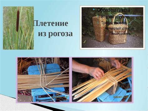 Техники косления камыша