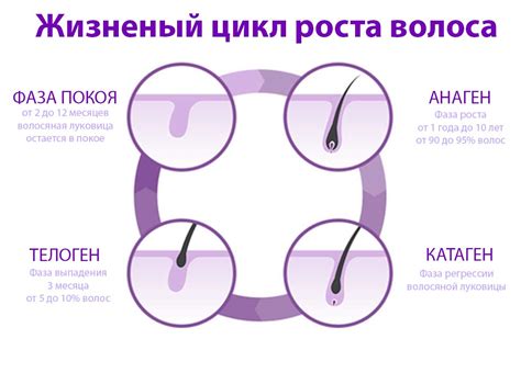 Травма на брови и нарушение роста волос