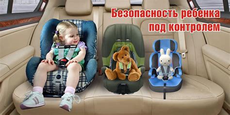 Трость в салоне: правила перевозки
