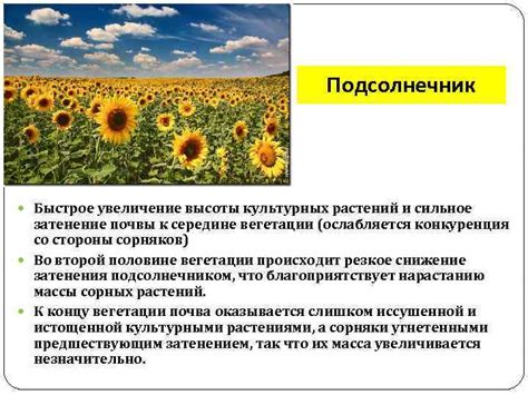 Увеличение периода вегетации
