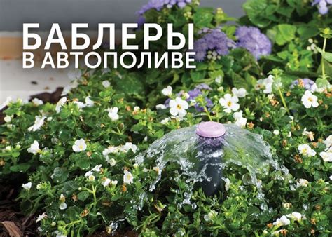 Увлажнение корней зимой