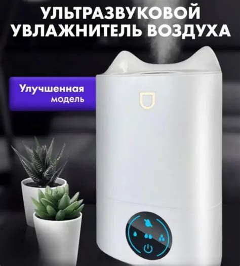 Увлажнители воздуха для здоровья и комфорта: лучшая альтернатива вейпингу