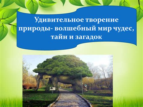 Удивительное музыкальное творение природы