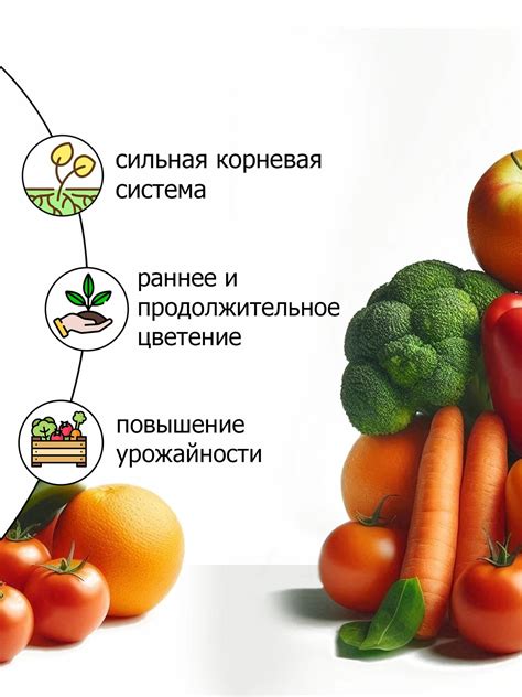 Удобный и компактный формат