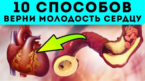 Укрепление сердца и сосудов