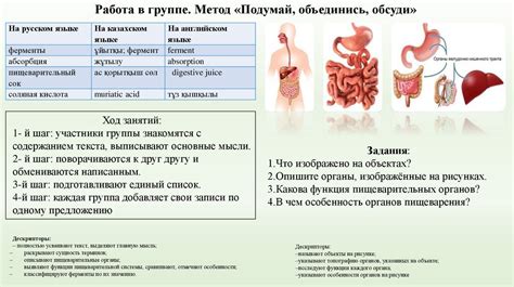 Улучшает синтез пищеварительных ферментов