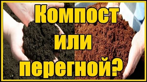 Улучшение процесса разложения органического материала