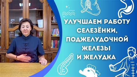 Улучшение работы поджелудочной железы