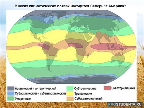 Умеренный климат