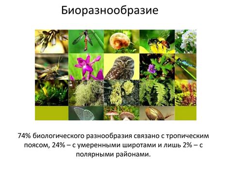 Уникальность и биоразнообразие