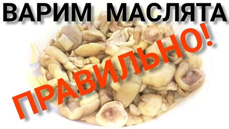 Упаковка жареных маслят перед заморозкой