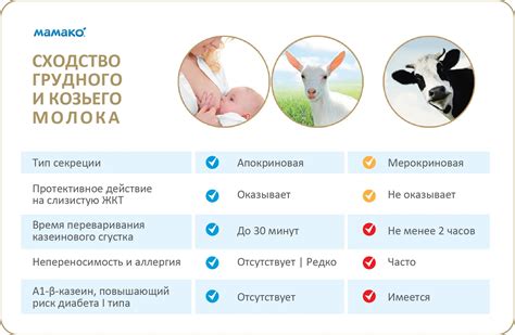 Употребление козьего молока при изжоге