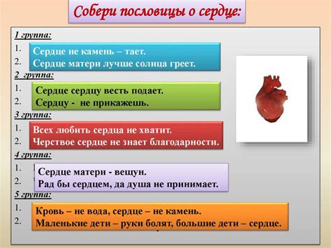 Урегулирование работы сердца и сосудов