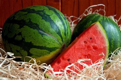 Условия хранения резаных арбузов