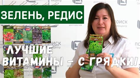 Уход за луком и редисом после посадки