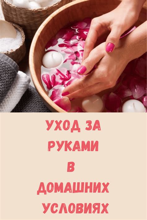 Уход за ягелью в домашних условиях