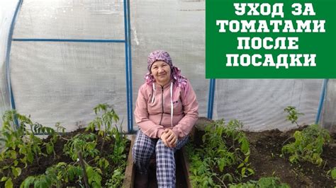 Уход после посадки
