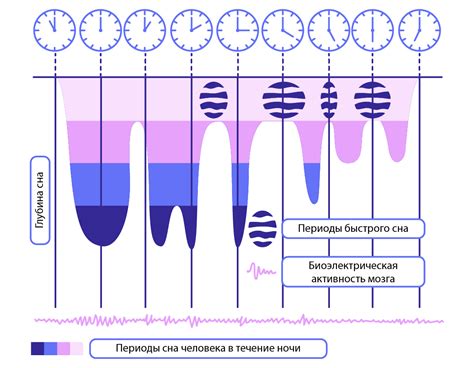 Фазы сна и изменение сознания